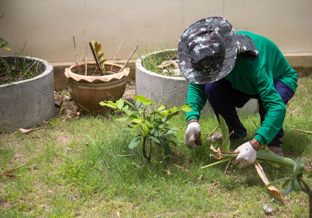 gardening-clearing-and-removing-grasses-on-the-floor